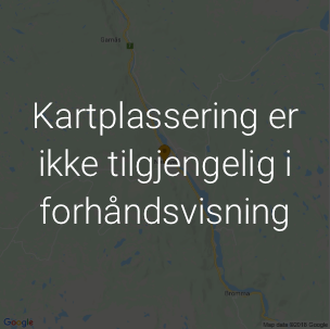 forhåndsvisning