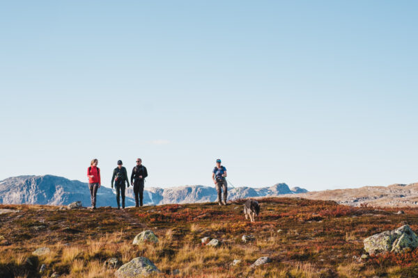 FUKE: fottur fjell